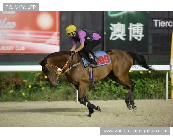 澳门赛马官网直播带你走进赛马世界，尽享高清赛事直播体验